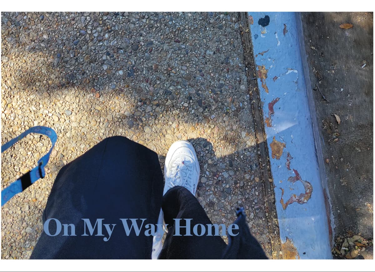 Picture of the graphic